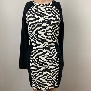 H&M Zebra Print Long Sleeve Bodycon Dress